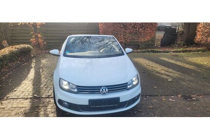 VW Eos Gebrauchtwagen