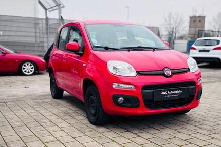 Fiat Panda Gebrauchtwagen