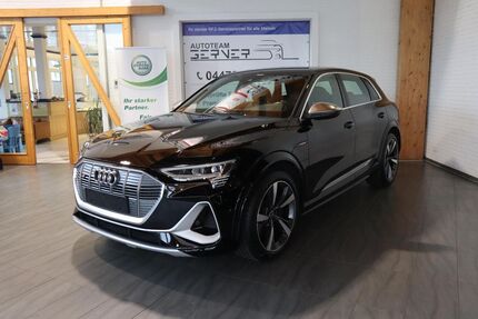 Audi e-tron Gebrauchtwagen