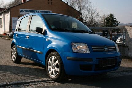 Fiat Panda Gebrauchtwagen