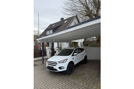 Ford Kuga Gebrauchtwagen
