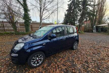 Fiat Panda Gebrauchtwagen