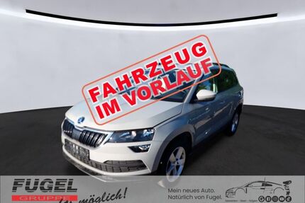 Skoda Karoq Gebrauchtwagen