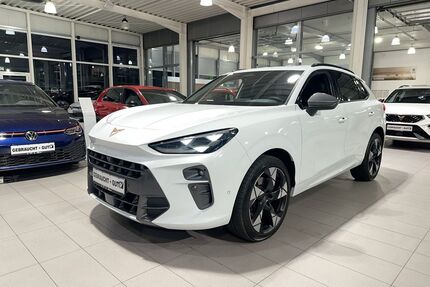 Cupra Terramar Gebrauchtwagen