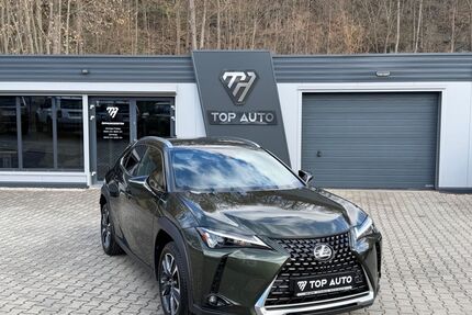 Lexus UX Gebrauchtwagen