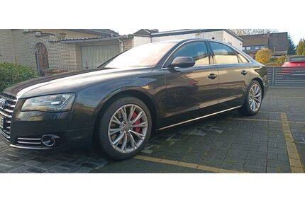 Audi A8 Gebrauchtwagen