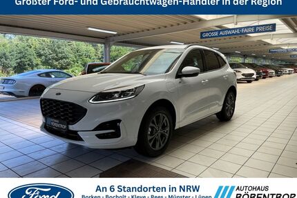 Ford Kuga Gebrauchtwagen