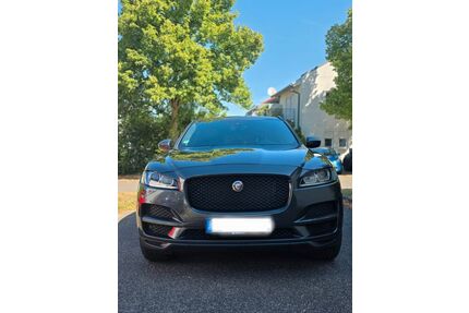 Jaguar F-Pace Gebrauchtwagen