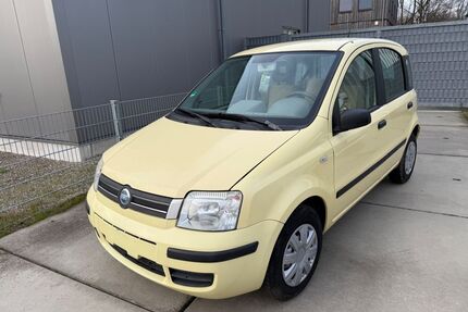 Fiat Panda Gebrauchtwagen