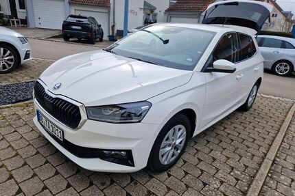 Skoda Fabia Gebrauchtwagen