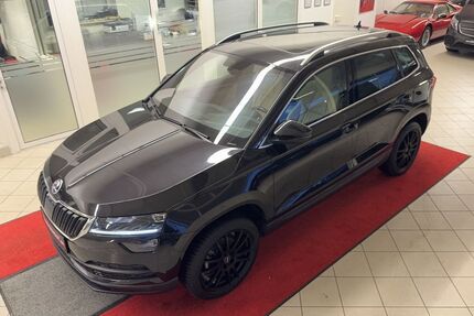 Skoda Karoq Gebrauchtwagen