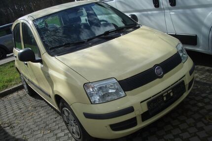 Fiat Panda Gebrauchtwagen