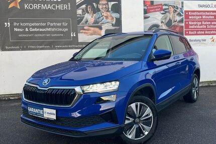 Skoda Karoq Gebrauchtwagen