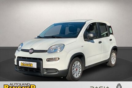 Fiat Panda Gebrauchtwagen