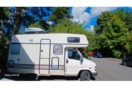Fiat Ducato Gebrauchtwagen