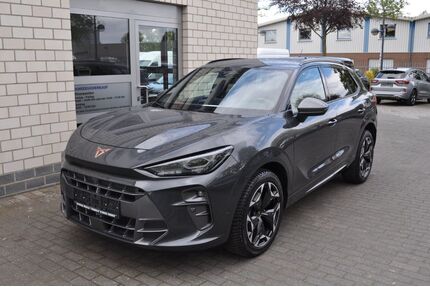 Cupra Terramar Gebrauchtwagen