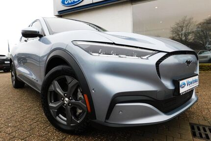 Ford Mustang Mach-E Gebrauchtwagen