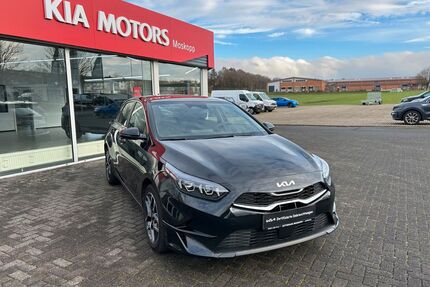 Kia ceed / Ceed Gebrauchtwagen