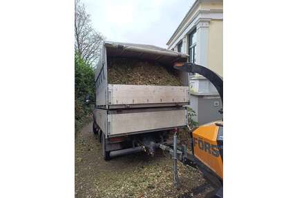 IVECO Daily Gebrauchtwagen