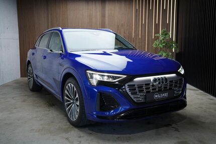 Audi Q8 e-tron Gebrauchtwagen
