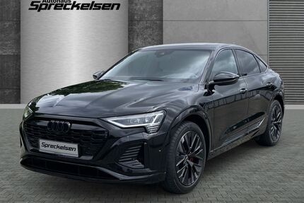 Audi Q8 e-tron Gebrauchtwagen