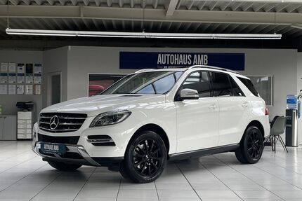Mercedes-Benz ML 250 Gebrauchtwagen