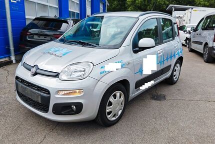 Fiat Panda Gebrauchtwagen
