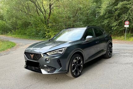 Cupra Formentor Gebrauchtwagen