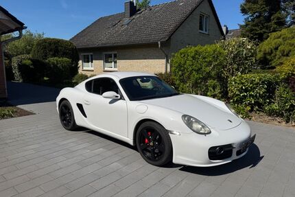 Porsche Cayman Gebrauchtwagen