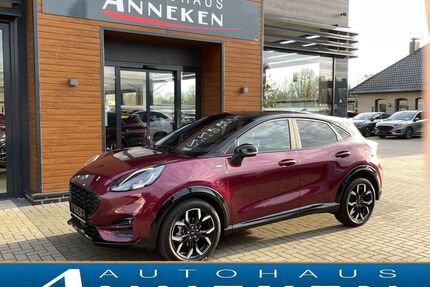 Ford Puma Gebrauchtwagen
