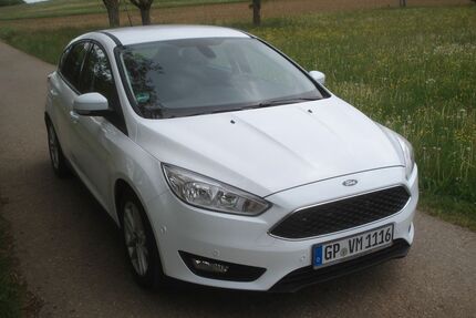 Ford Focus Gebrauchtwagen