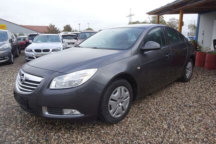 Opel Insignia Gebrauchtwagen