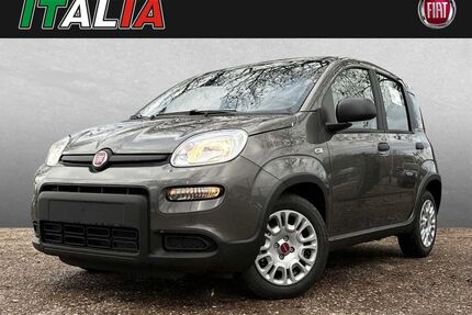 Fiat Panda Gebrauchtwagen