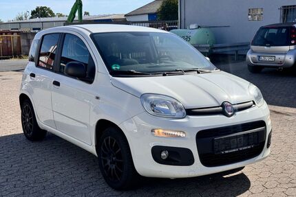 Fiat Panda Gebrauchtwagen