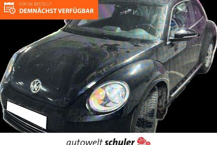VW Beetle Gebrauchtwagen