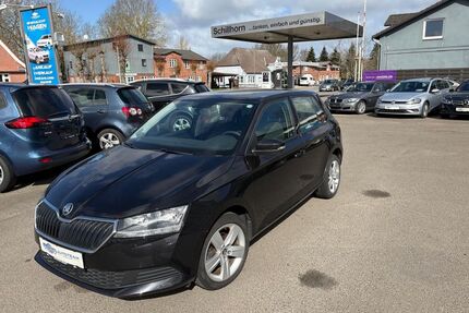 Skoda Fabia Gebrauchtwagen