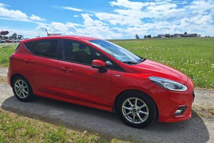 Ford Fiesta Gebrauchtwagen