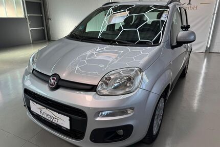 Fiat Panda Gebrauchtwagen