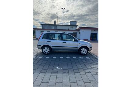 Ford Fusion Gebrauchtwagen