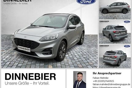 Ford Kuga Gebrauchtwagen