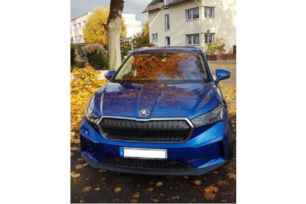 Skoda Enyaq Gebrauchtwagen