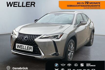Lexus UX Gebrauchtwagen