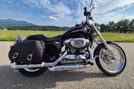 Harley Davidson 1200 Custom Gebrauchtwagen