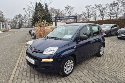 Fiat Andere Gebrauchtwagen