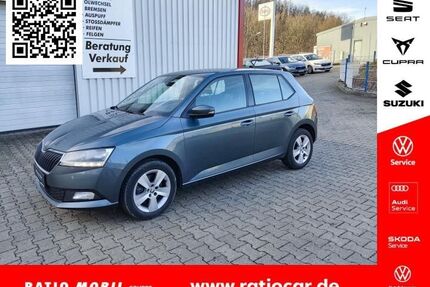 Skoda Fabia Gebrauchtwagen