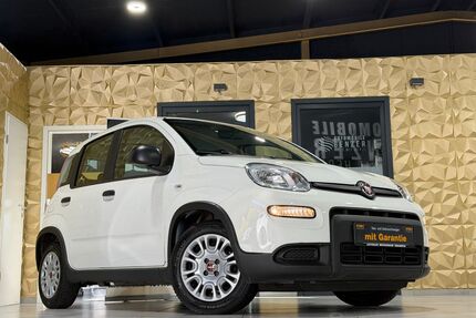 Fiat Panda Gebrauchtwagen