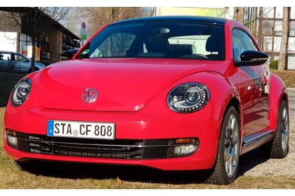 VW Beetle Gebrauchtwagen