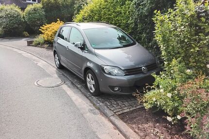 VW Golf Plus Gebrauchtwagen