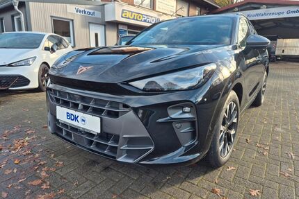 Cupra Terramar Gebrauchtwagen