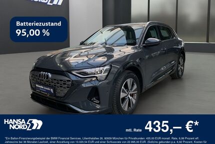 Audi Q8 e-tron Gebrauchtwagen